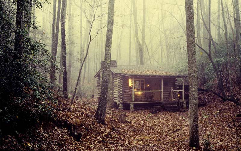 A cabin in a foggy forest